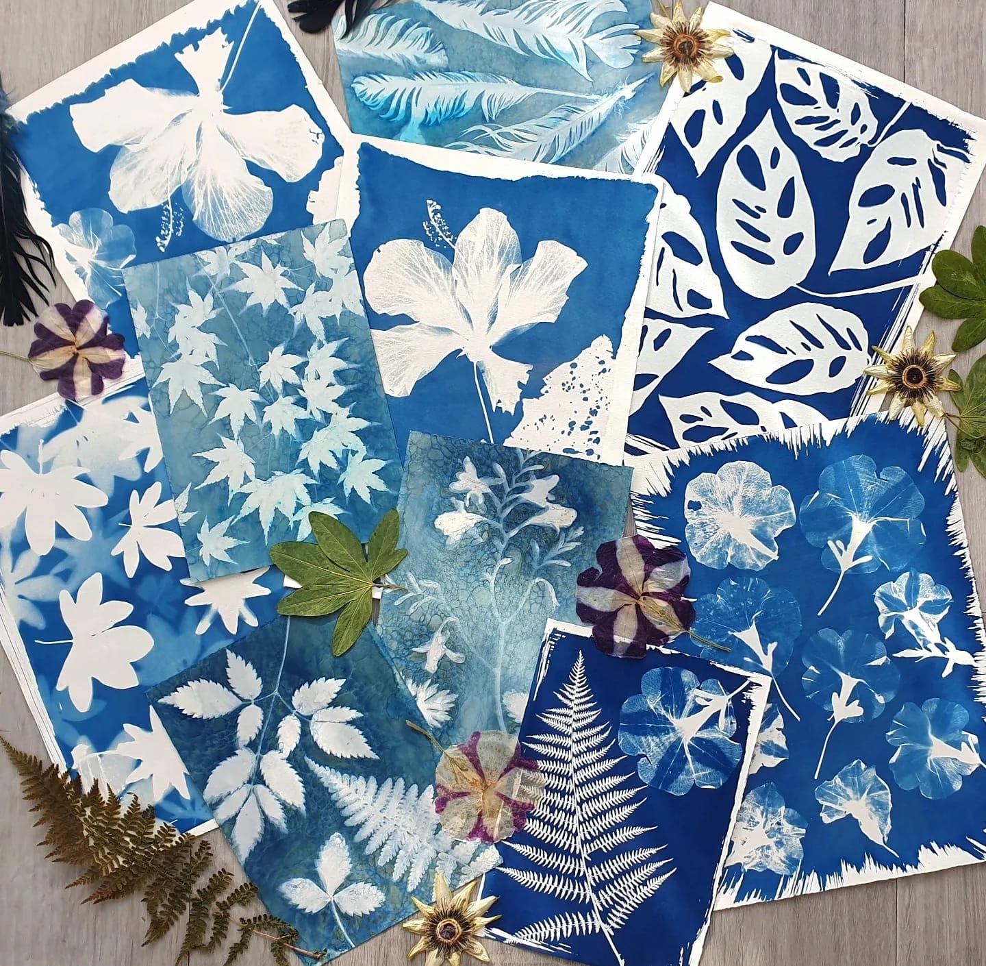 Blue botanical cyanotype prints on wood