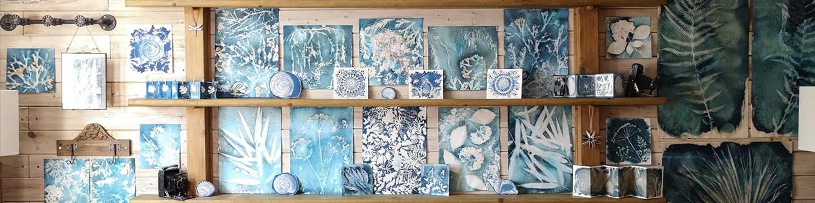 Cyanotype studio shelf with botanical prints